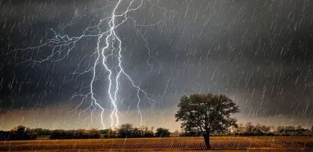 雷電的種類有哪些？